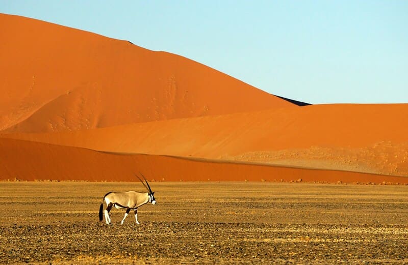 onde ir em outubro na namibia