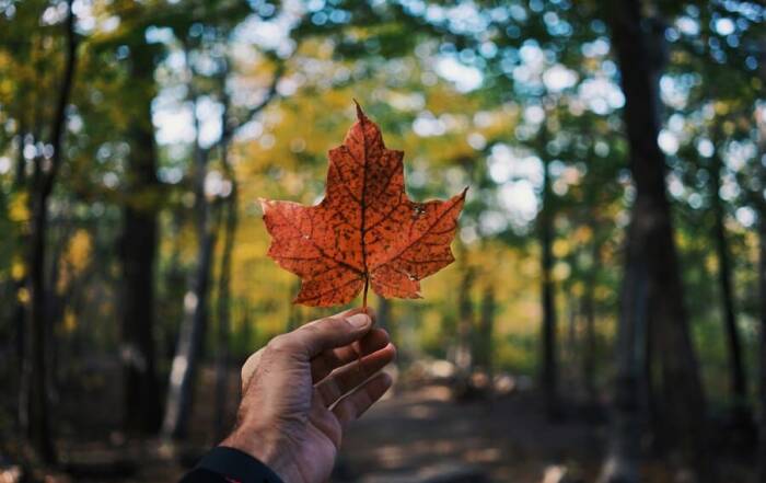 o que ver no canada