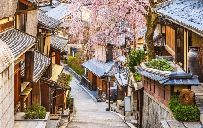 Flores de Sakura, Japão