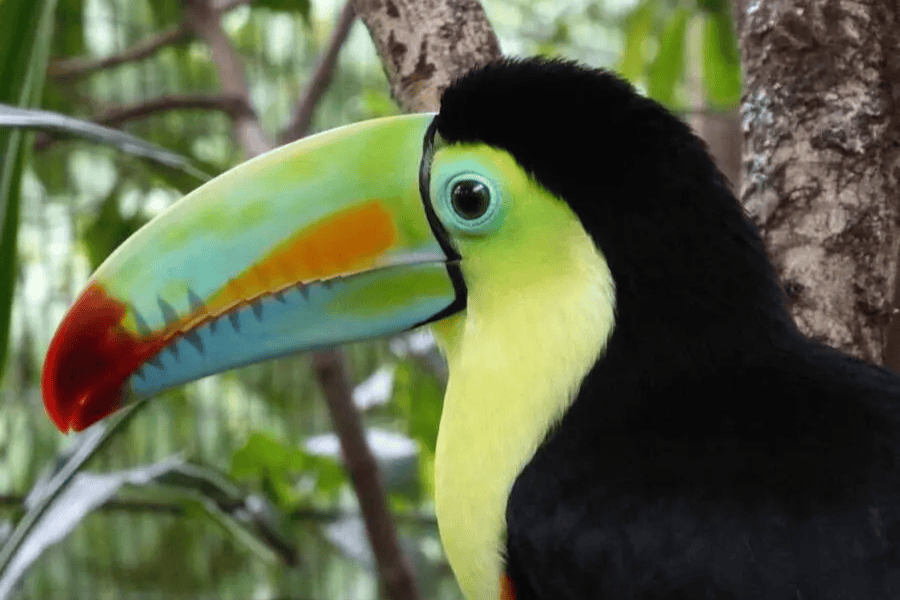 melhores destinos para ir em maio, costa rica