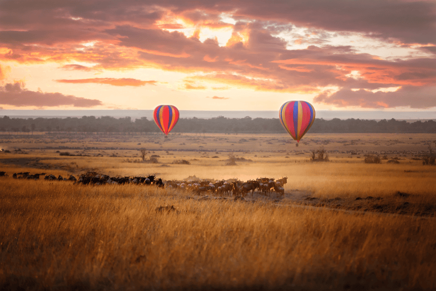 Baloes de ar quente a voar sobre a savana do Masai Mara no Quenia ao por do sol
