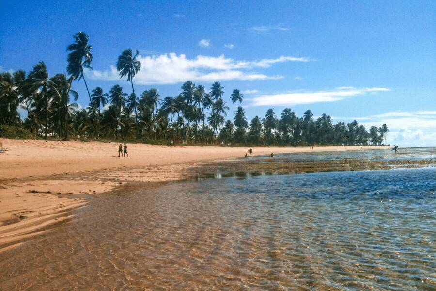 Praia de areia dourada com um extenso coqueiral ao fundo e águas rasas com recifes visíveis na maré baixa, no Litoral Norte da Bahia.